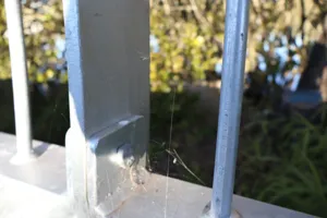 2025-06-21 Bartons Park - IMG_2572_compressed_q50.webp